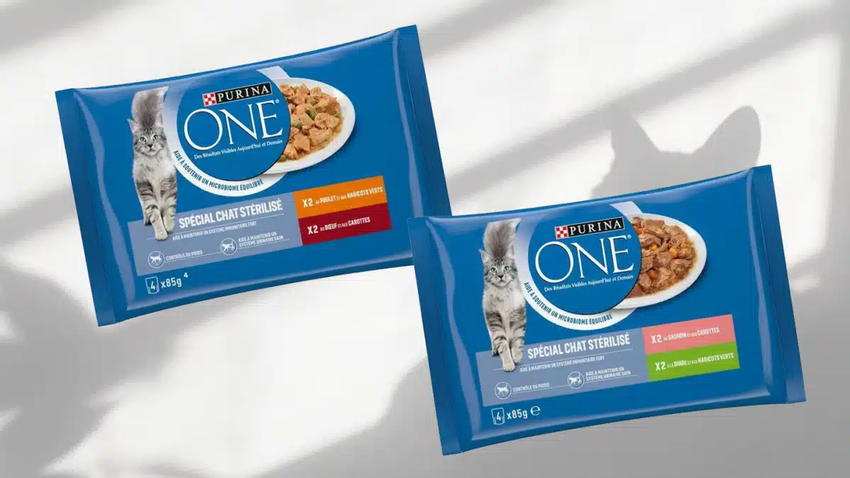 echantillons sachets purina one chat